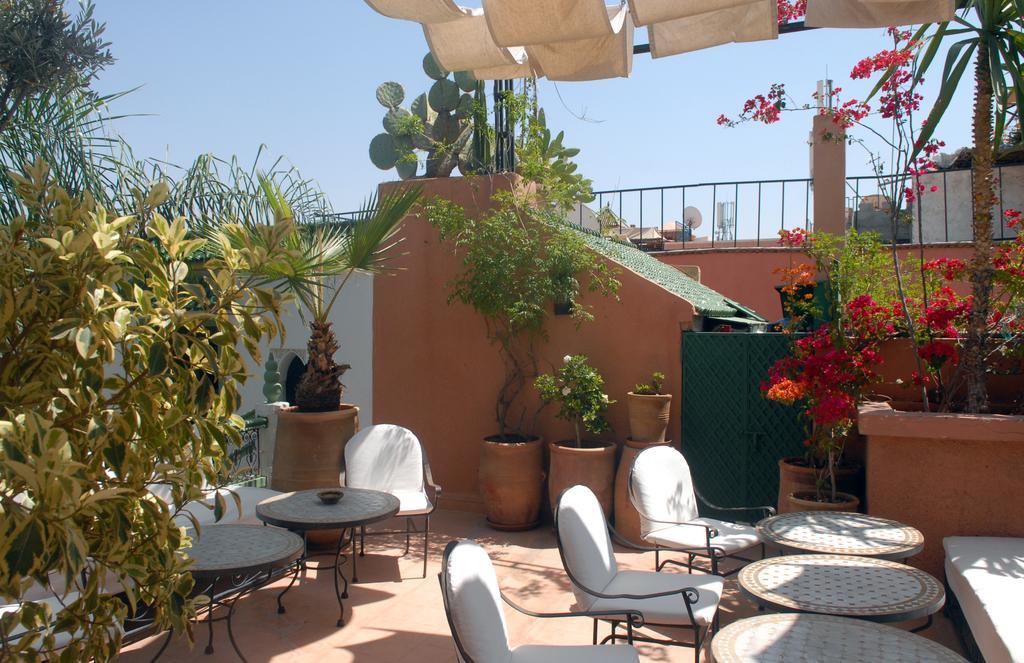 Celia Marrakesh